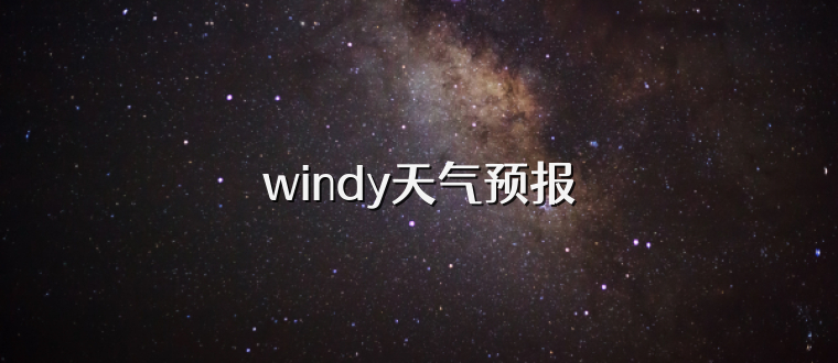 windy天气预报