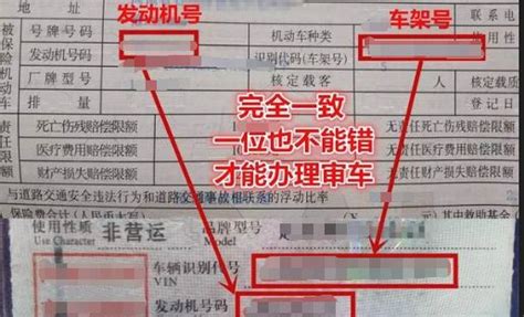 行驶证查询入口大全，快速查找你的行驶证信息 3