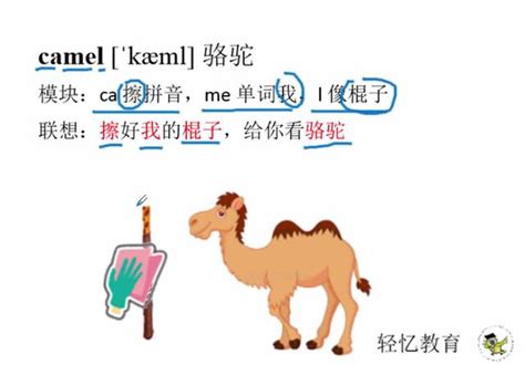 深入解析'camel'单词的教学视频 2