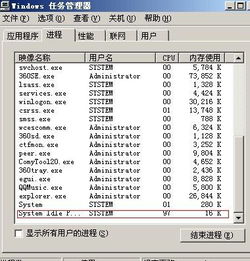 解析：电脑进程中的System Idle Process含义 2