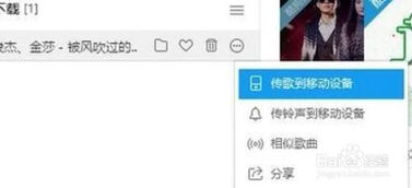 如何将歌曲下载到内存卡上？ 4