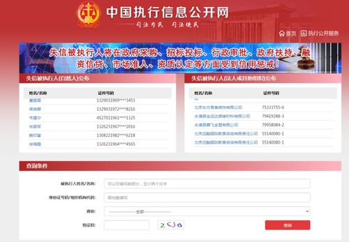 中国执行信息公开网如何查询被执行人信息？ 1