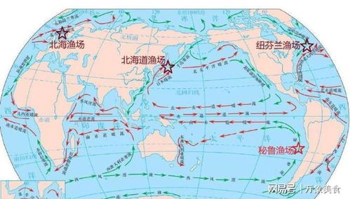 中国四大渔场分别是什么？速来了解！ 3