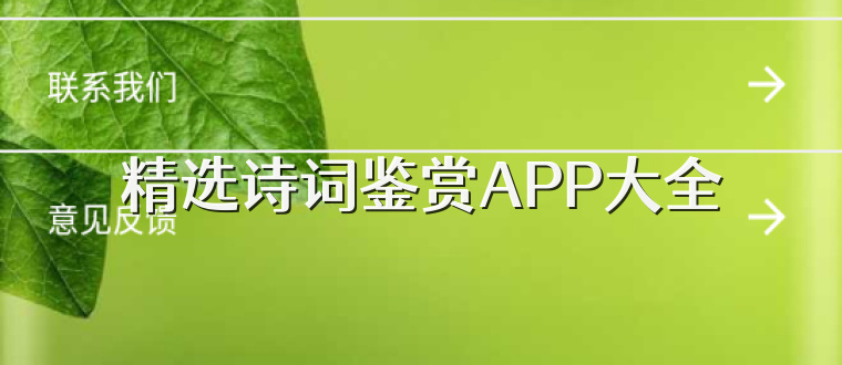 精选诗词鉴赏APP大全