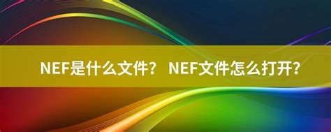 揭秘NEF文件：类型与专属打开软件大揭秘 5