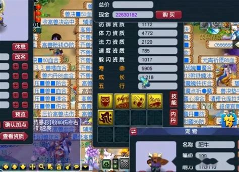 《梦幻西游》天兵血宠最优打书策略：全方位打书攻略 2