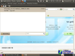 Ubuntu系统轻松安装QQ指南 3