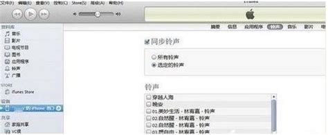 如何为iPhone 5s设置自定义铃声 4