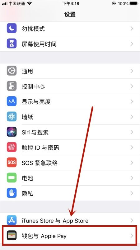 轻松设置：如何让钱包和Apple Pay通过双击侧边按钮快速支付 3