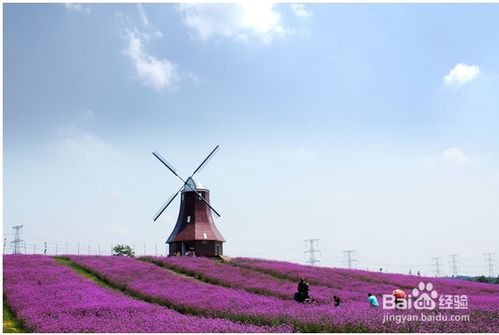 2013成都近郊探秘：玩转四川的休闲之旅指南 3