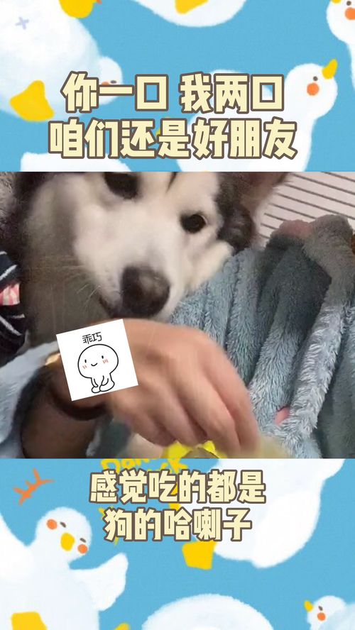 揭秘：哈喇子一词的真正含义是什么？ 1