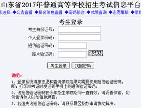 如何在山东省教育招生考试院查询录取结果？ 2