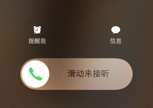 苹果iPhone手机实现来电识别的方法 1