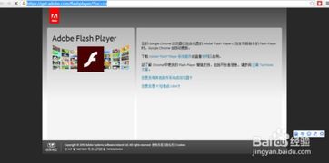 过期后被阻止的Adobe Flash Player，该如何轻松解决？ 1