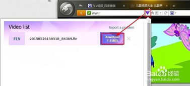 轻松学会：在线下载FLV视频的方法 3