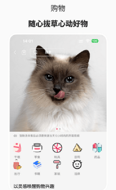 宠也app 截图3