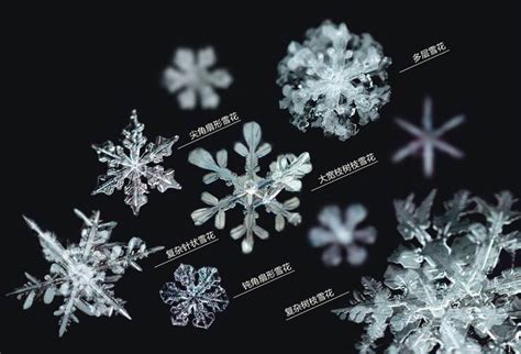 雪花如精灵般翩翩起舞，纷纷扬扬洒落人间 2