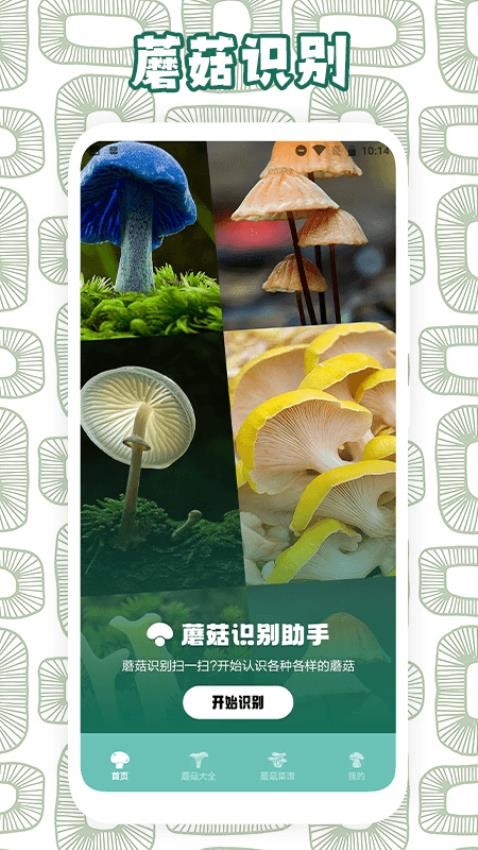 蘑菇识别助手app 截图4