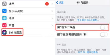 轻松学会：如何唤醒Siri 3