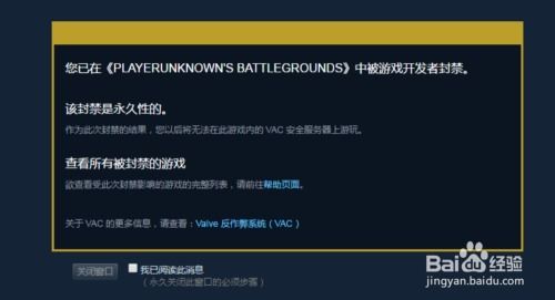 解锁Steam账号：从VAC封禁中恢复的终极指南 2