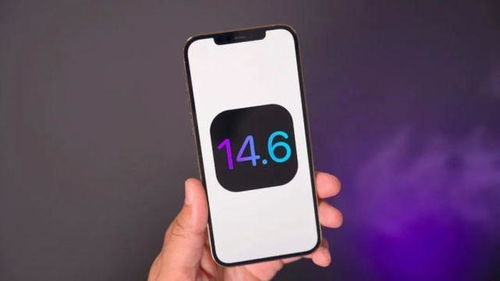 iOS14.6系统全面评测：你不可错过的升级亮点！ 3