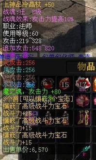 魔域2.4无敌版：深度解析战斗特效与珍贵物品指南 3