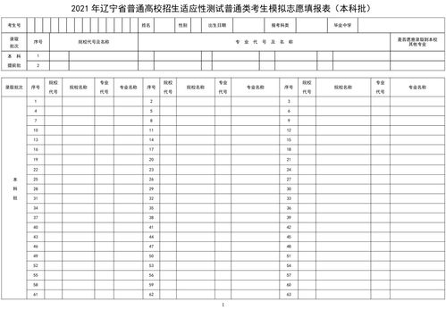 高效攻略：轻松模拟填报高考志愿表 4