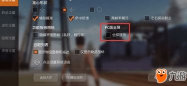 PC版荒野行动：轻松实现全屏设置教程 2