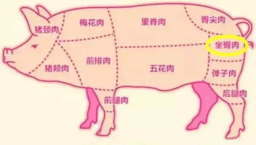 二刀肉具体是哪个部位的肉？ 2