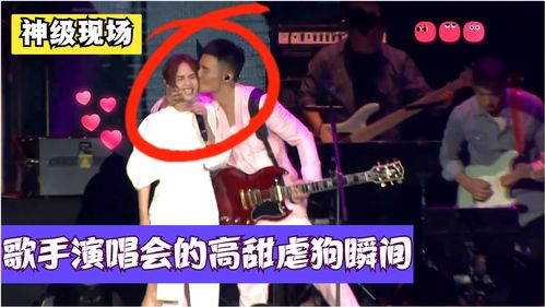 《《想不到鸭》爱豆演唱会全攻略：轻松通关指南》 2