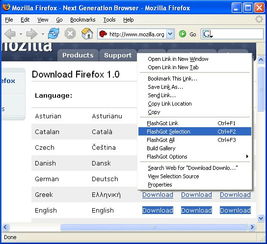火狐浏览器FlashGot插件：一键下载技巧指南 3