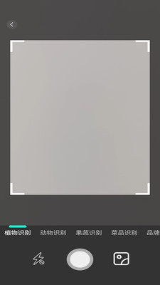 趣萌识别app 截图4