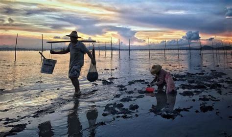 探究赶海时巨潮、大潮与小潮的差异及含义 2