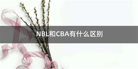 NBL与CBA：级别之差，究竟有多大？ 3