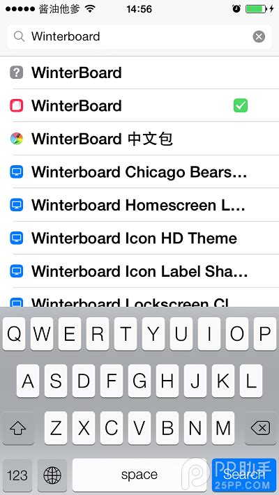 Q&A: How to Master iPhone Theme Customization with Winterboard? 4