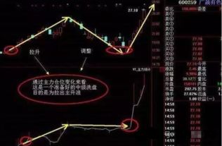 揭秘黑姬桎梏之馆的奇幻禁锢故事 4