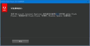 升级Flash Player以解决应用程序初始化错误 2