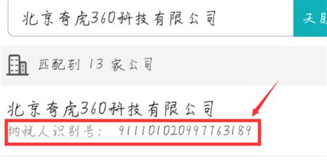 全面解锁：纳税人识别号查询技巧与高效路径指南 2