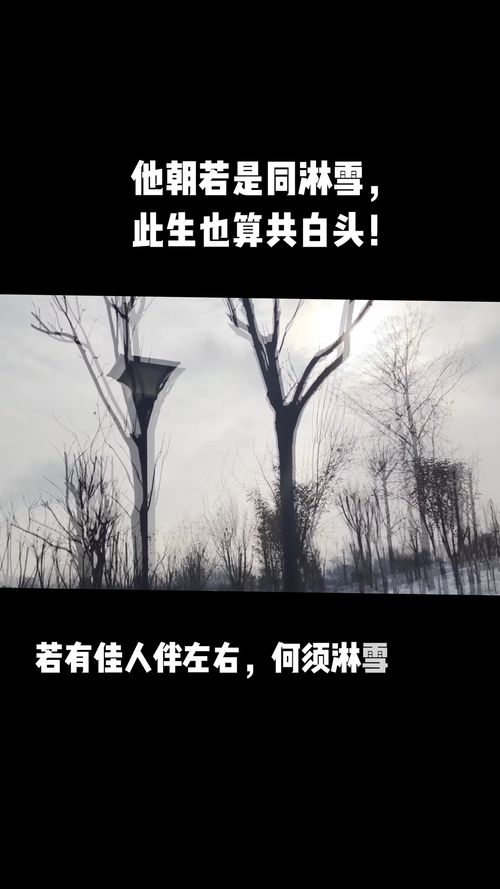 共淋雪中时，此生即算白首伴 1