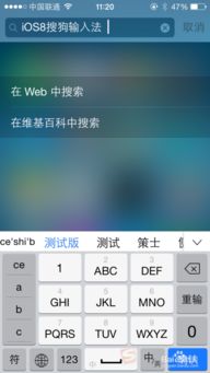 在iOS 8上安装搜狗输入法的步骤 2