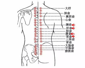 解锁舒缓奥秘：专业背部按摩的精湛手法 4