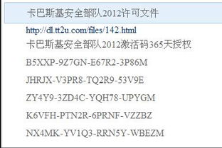 2012年卡巴斯基（Kaspersky）安全部队激活指南：轻松解锁全面防护 3