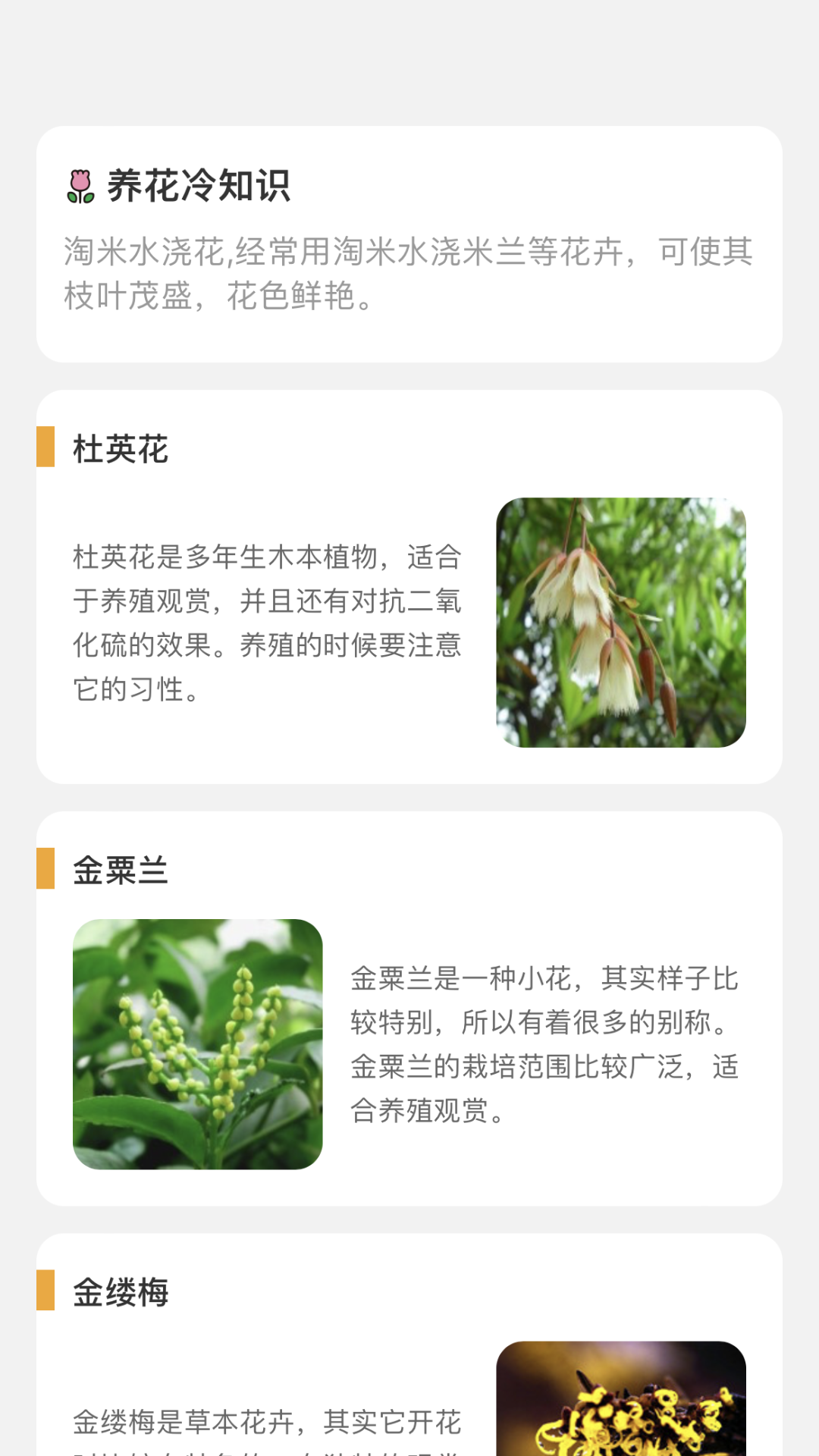 百花悦看 截图3