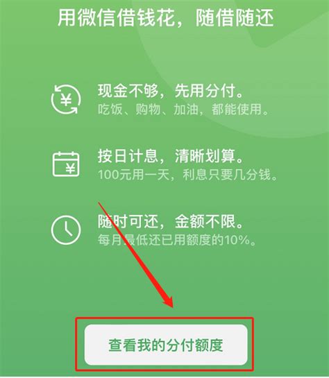 轻松解锁微信花呗借款功能，步骤详解！ 4
