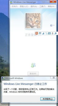 如何登录MSN？ 2