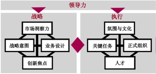 深度解析：BLM现象的多维度审视 1