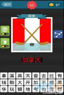 问答揭秘：如何快速通关‘疯狂猜图:国家版’？图文攻略来袭！ 3