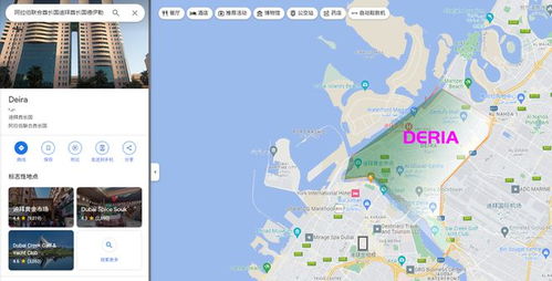 探秘迪拜：精准地图定位之旅 2