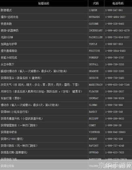 高飞侠盗5攻略秘籍 4