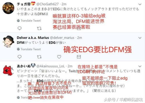 揭秘！EDG在网络用语中的真正含义，你了解吗？ 2